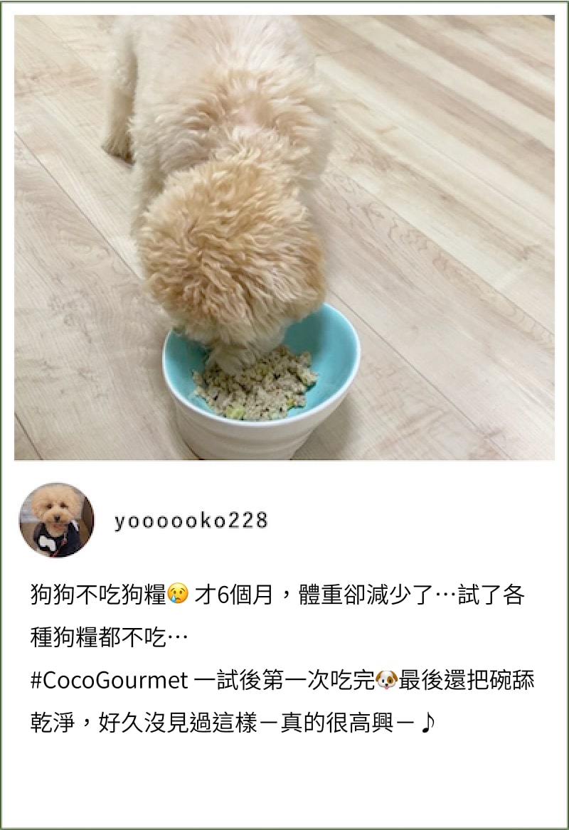 ココグルメのお客様によるインスタグラムの投稿です