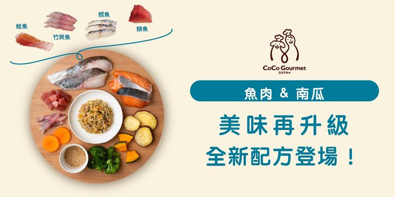 魚肉&南瓜 全新配方